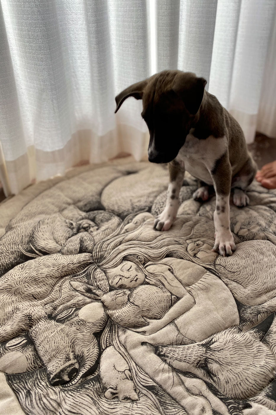 A dog sitting on Big Hug Blanket with the  famous hug illustration by Tattoo Artist Suflanda. Silkscreen and Handprinted in Bali.
